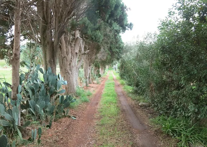 Sulla Scogliera By Interhome